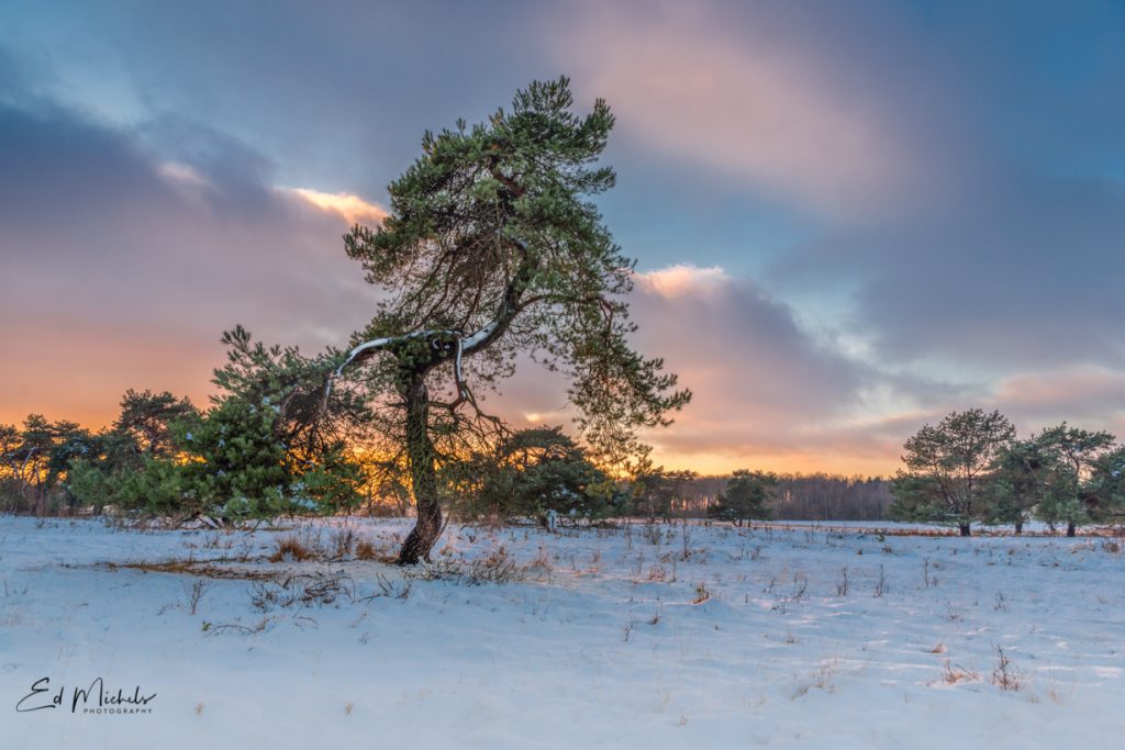 ondergaande zon over de sneeuw